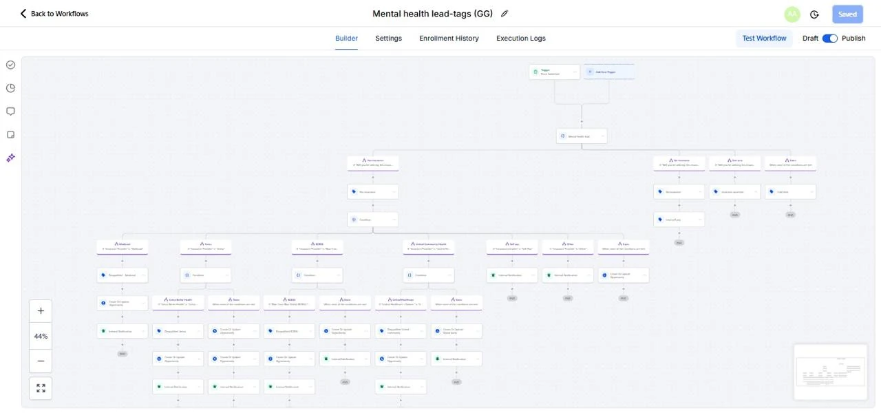 Mental health lead-tags workflow